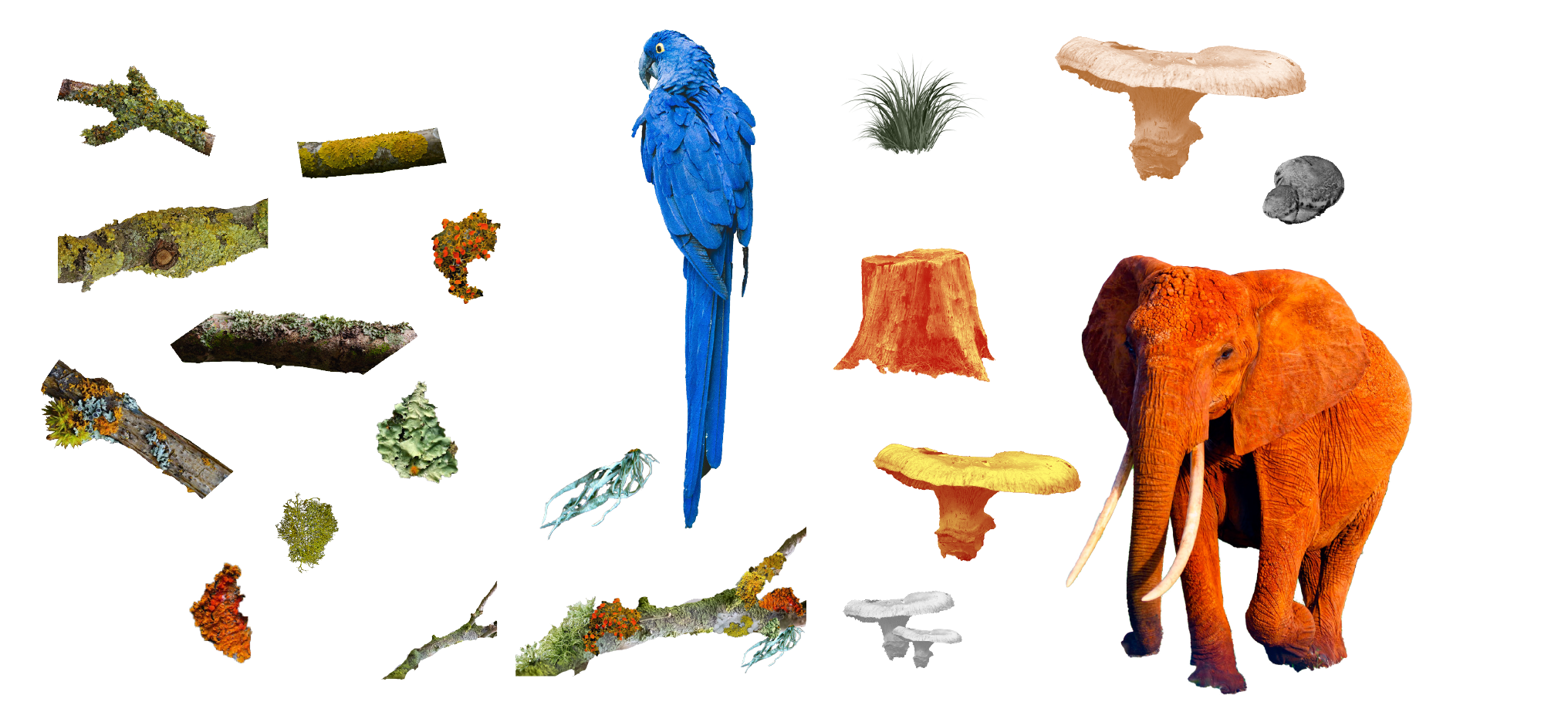 Process2